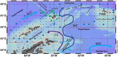 Weddell-Scotia Confluence Effect on the Iron Distribution in Waters Surrounding the South Shetland (Antarctic Peninsula) and South Orkney (Scotia Sea) Islands During the Austral Summer in 2007 and 2008